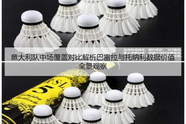 意大利队中场覆盖对比解析巴雷拉与托纳利数据价值全景观察