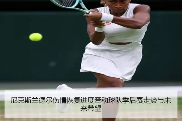 尼克斯兰德尔伤情恢复进度牵动球队季后赛走势与未来希望